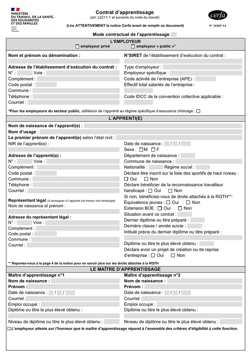 Apercu du Cerfa 10103*14 (FA13)