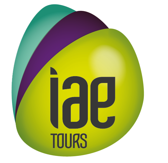 IAE Tours