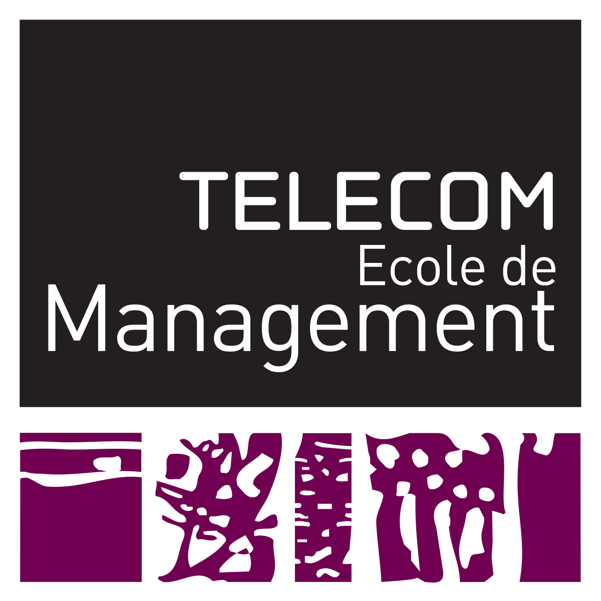 Télécom Ecole de Management